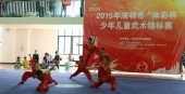 2015年深圳市武术锦标赛