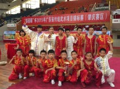 2015年广东省武术锦标赛2