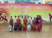 2016年广东省武术锦标赛