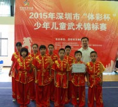 2015年深圳市武术锦标赛2