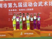 2016年深圳市运会武术比赛