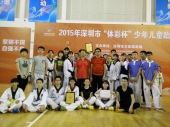 2015年深圳市少年儿童跆拳道锦标赛