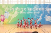 2014年10月29日参加深圳市龙华新区啦啦操比赛自编花球冠军